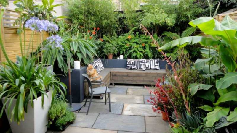 Transforming Small Gardens: Design Tips to Create a Lush, Functional Oasis